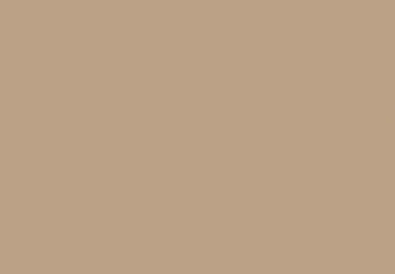 Plain Taupe